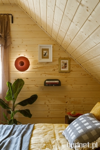 Projekt i realizacja: Patrycja Majewicz